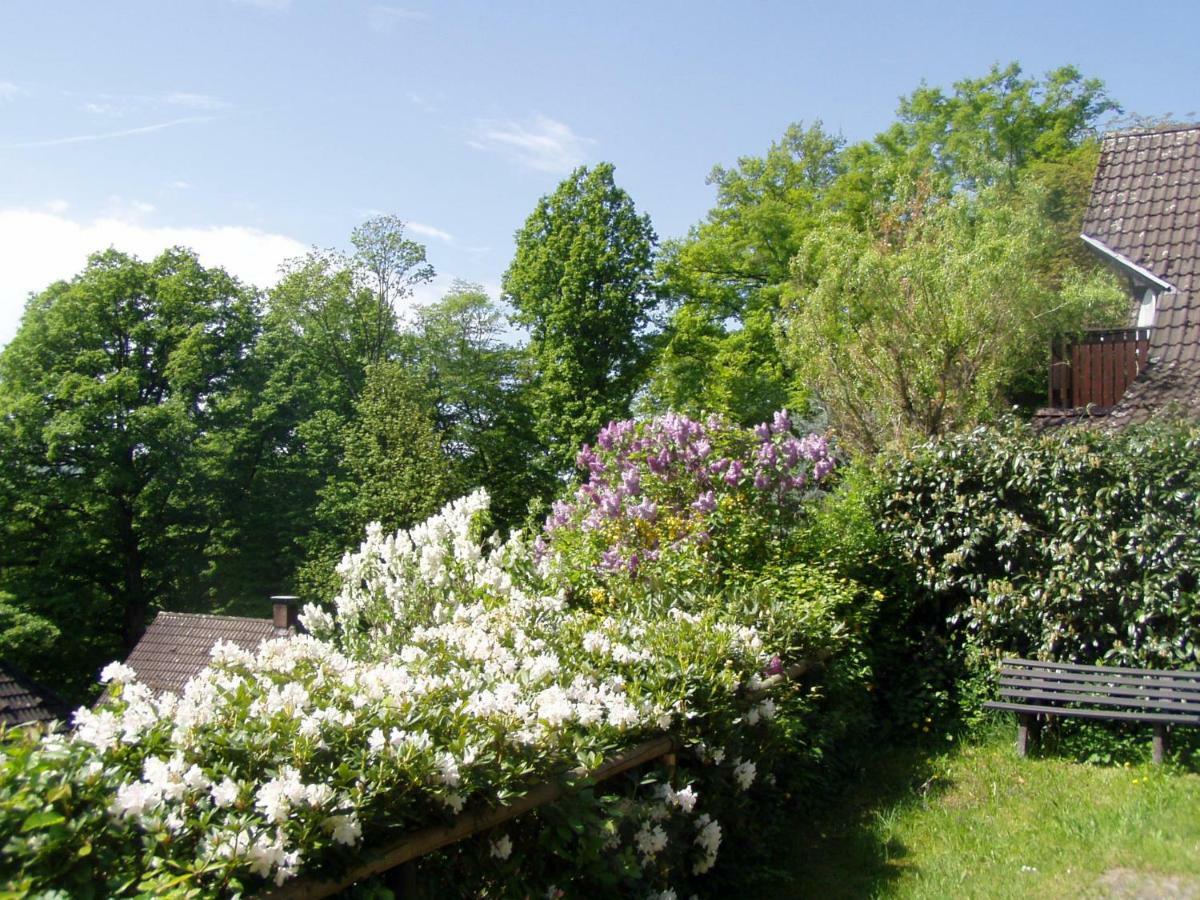 Odenwald Lounge Villa Reichelsheim Luaran gambar