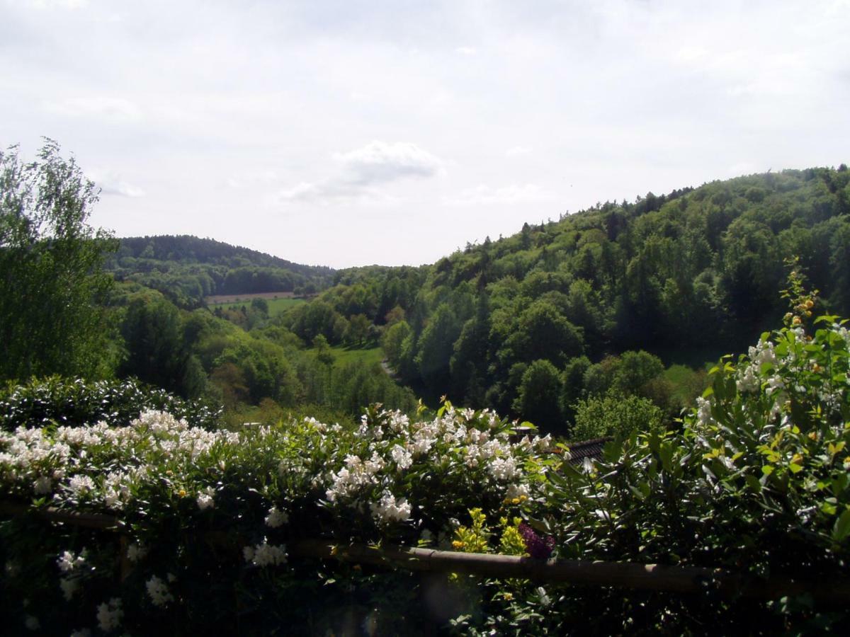 Odenwald Lounge Villa Reichelsheim Luaran gambar